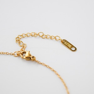 イタリアンコインネックレスゴールド