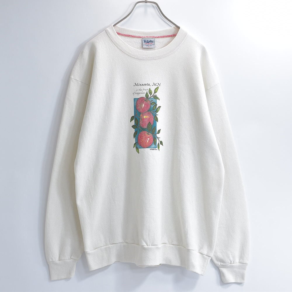 90s USA製 Volunteer ヴォランティア リンゴ フルーツ アート プリント