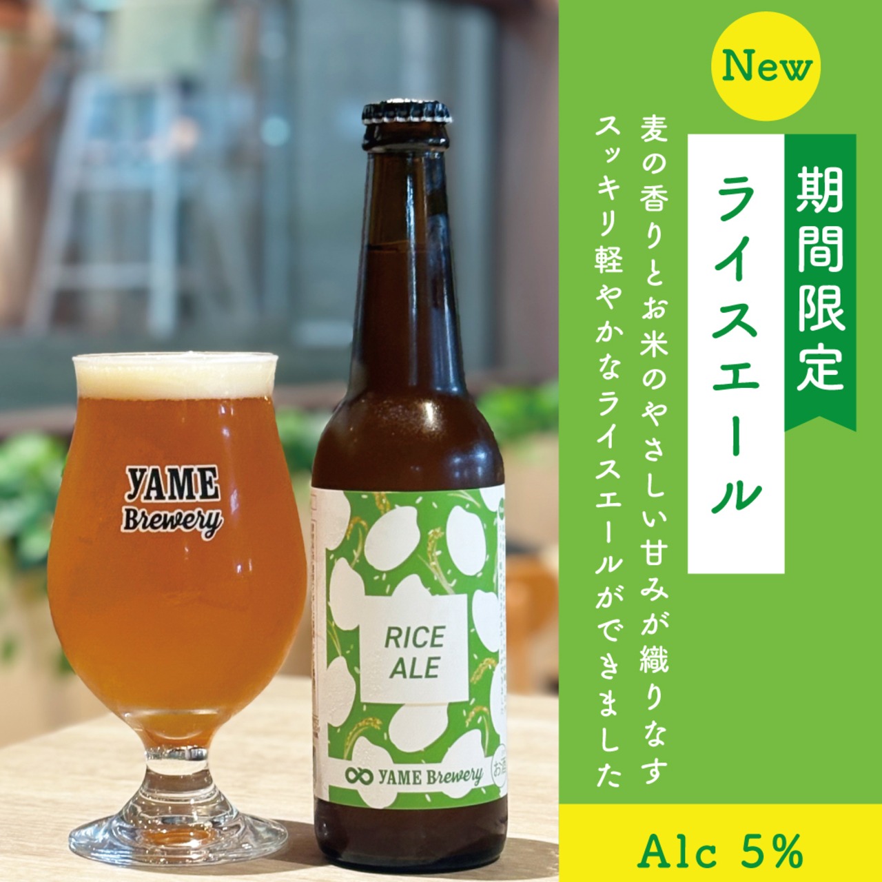 【期間限定ライスエール入】飲み比べ5種6本セット