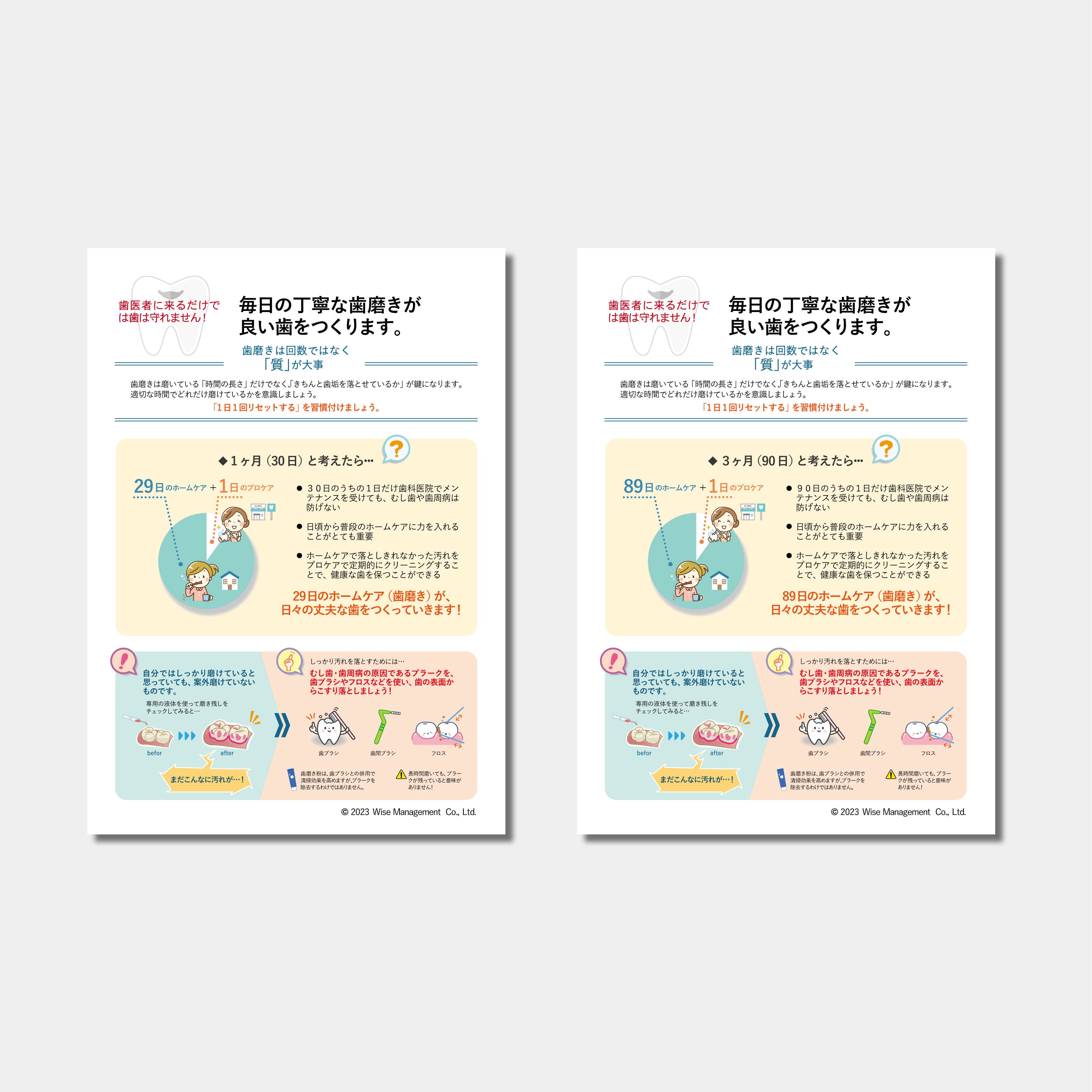 【データ販売】ホームケアの重要性2種