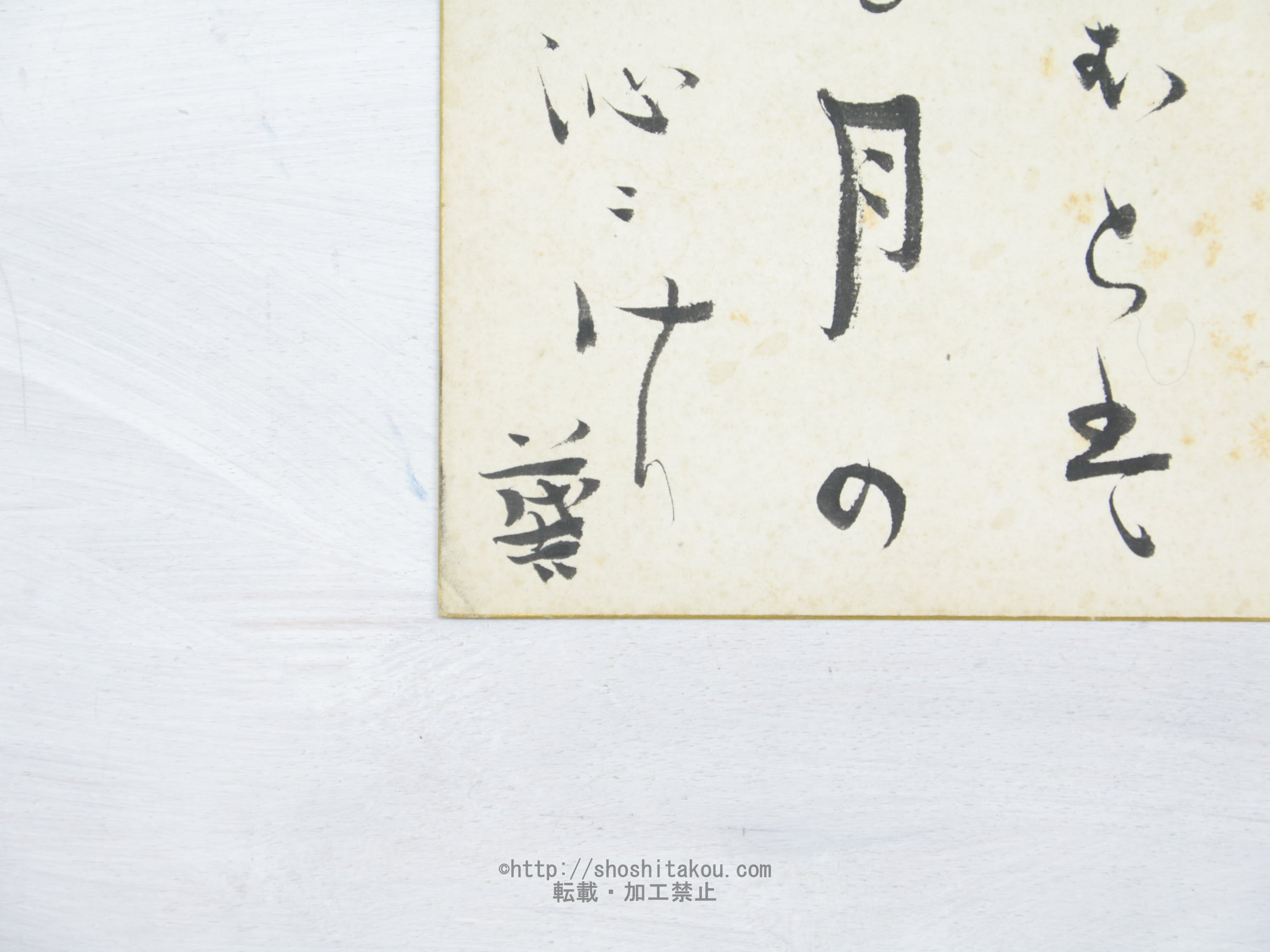 斎藤茂吉小色紙 / 斎藤茂吉 [33978] | 書肆田高