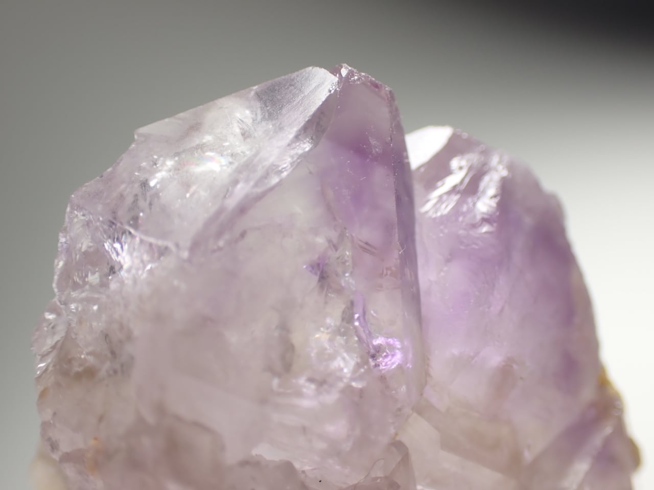 韓国 彦陽産 アメジスト/Amethyst 原石 A-AME491 | 鉱物・天然石のお店