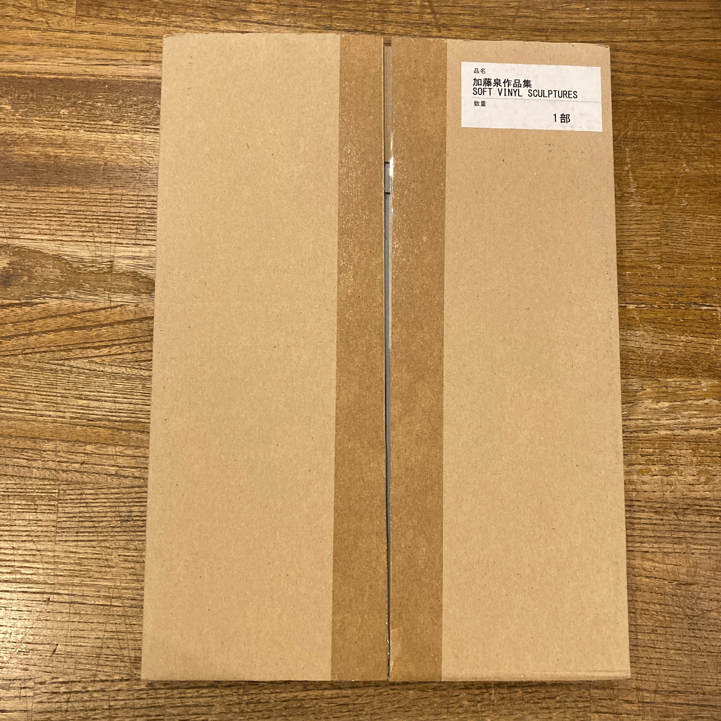 加藤泉  作品集  SOFT VINYL SCULPTURES 加藤泉作品集 SOFT VINYL SCULPTURES / 加藤泉 | 小宮山書店