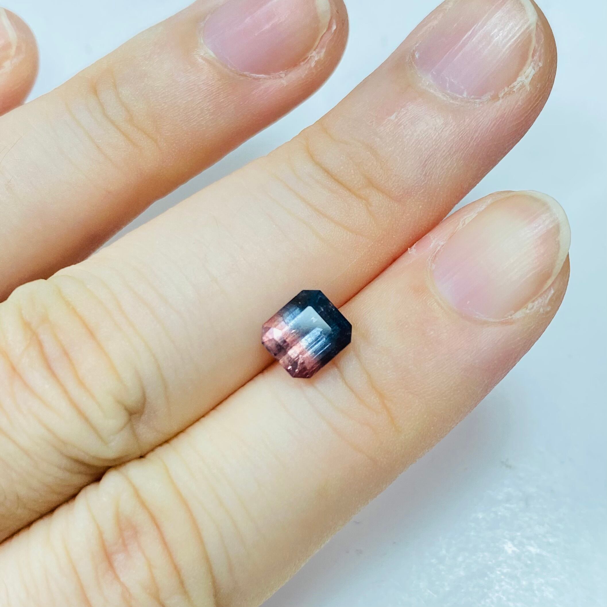 2色の紫陽花 バイカラートルマリン