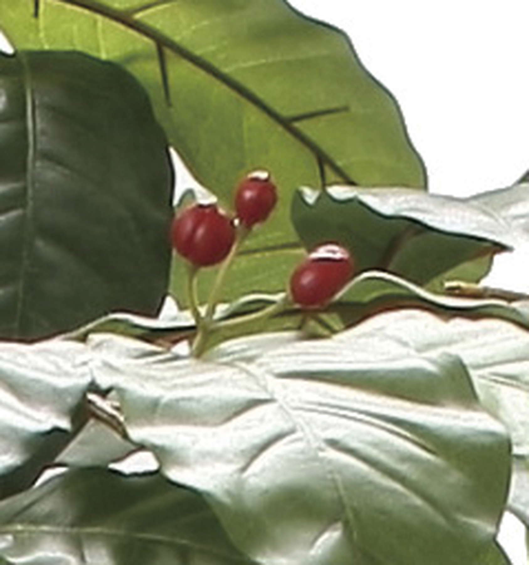 ショクバイコーヒーツリー１．８Ｍ　グリーン系　GLPA-066　4961823431777　造花（アーティフィシャルフラワー） > 観葉植物