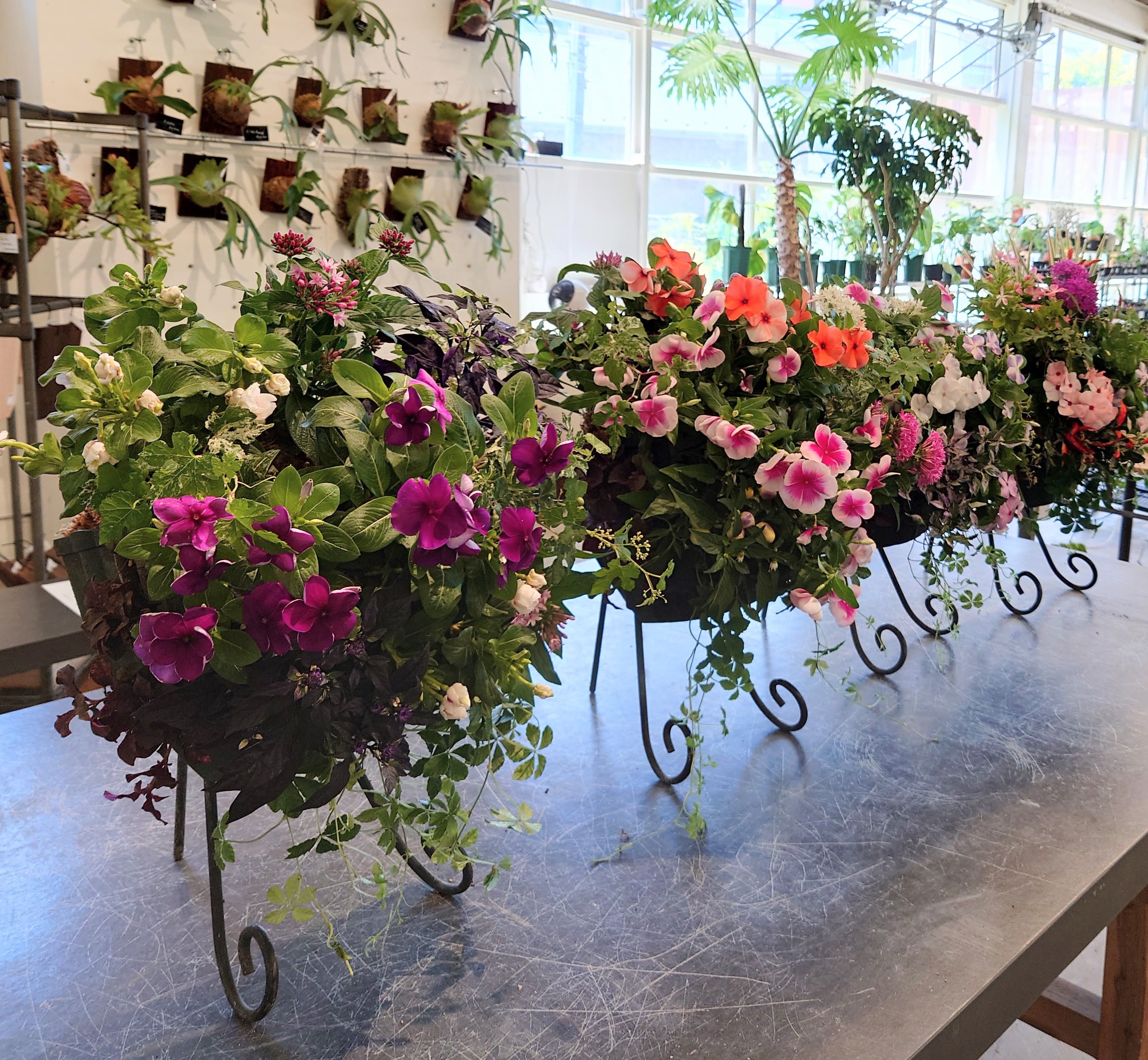 季節のお花を使ったリース型寄せ植え | PROTOLEAF プロトリーフ