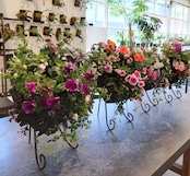 季節のお花を使ったリース型寄せ植え