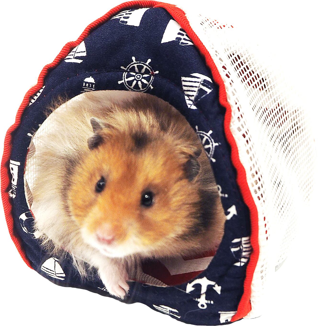 【小動物】　プチテントハウス　マリン