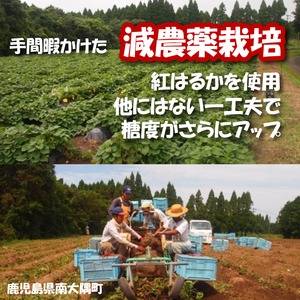 鹿児島県南大隅町産 紅はるかの干し芋130g入り20袋