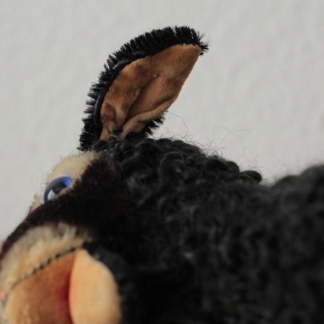 53 アンティークシュタイフ 黒羊 swapl Lamm | .usagi