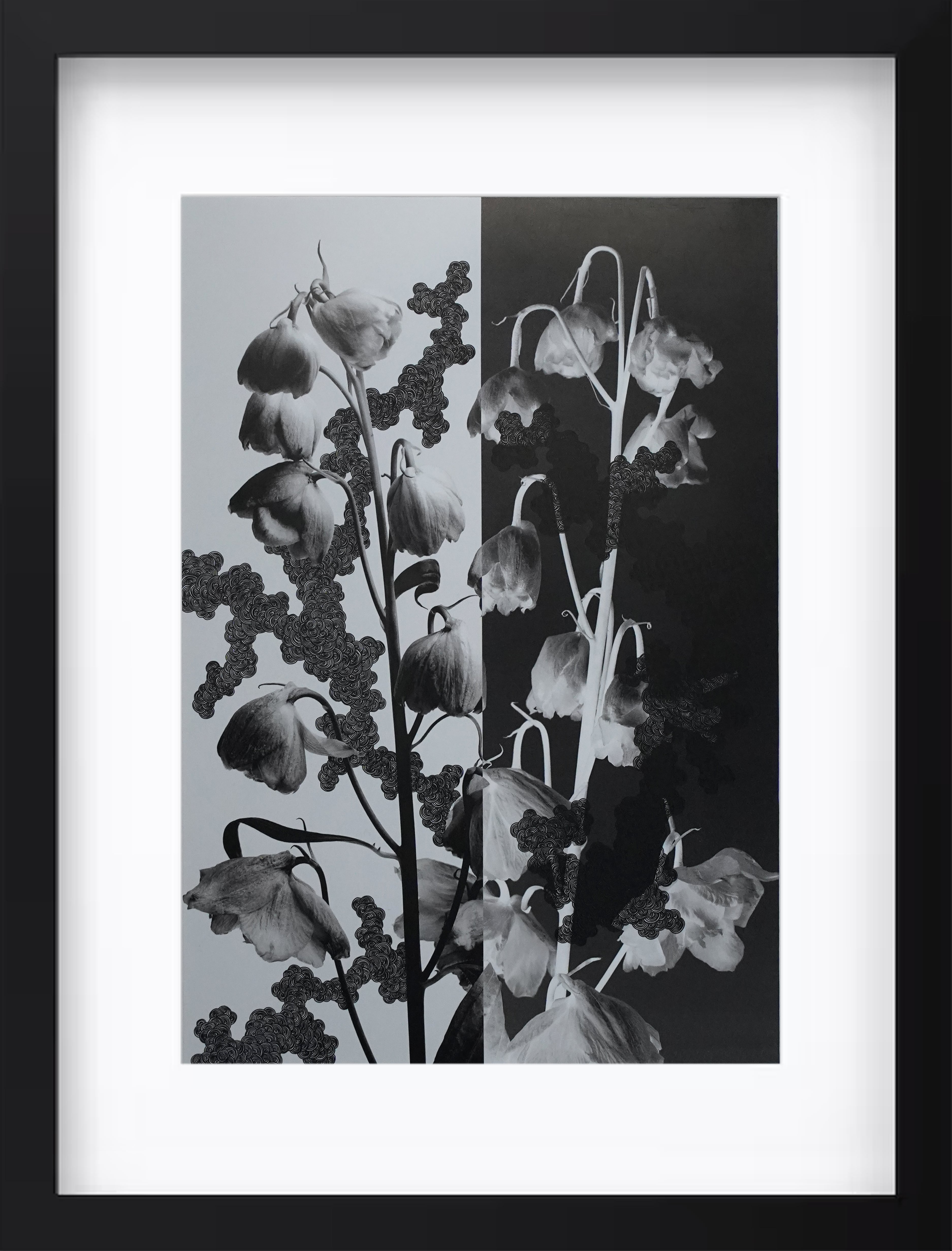 デルフィニウム"誠実と冷淡"#1