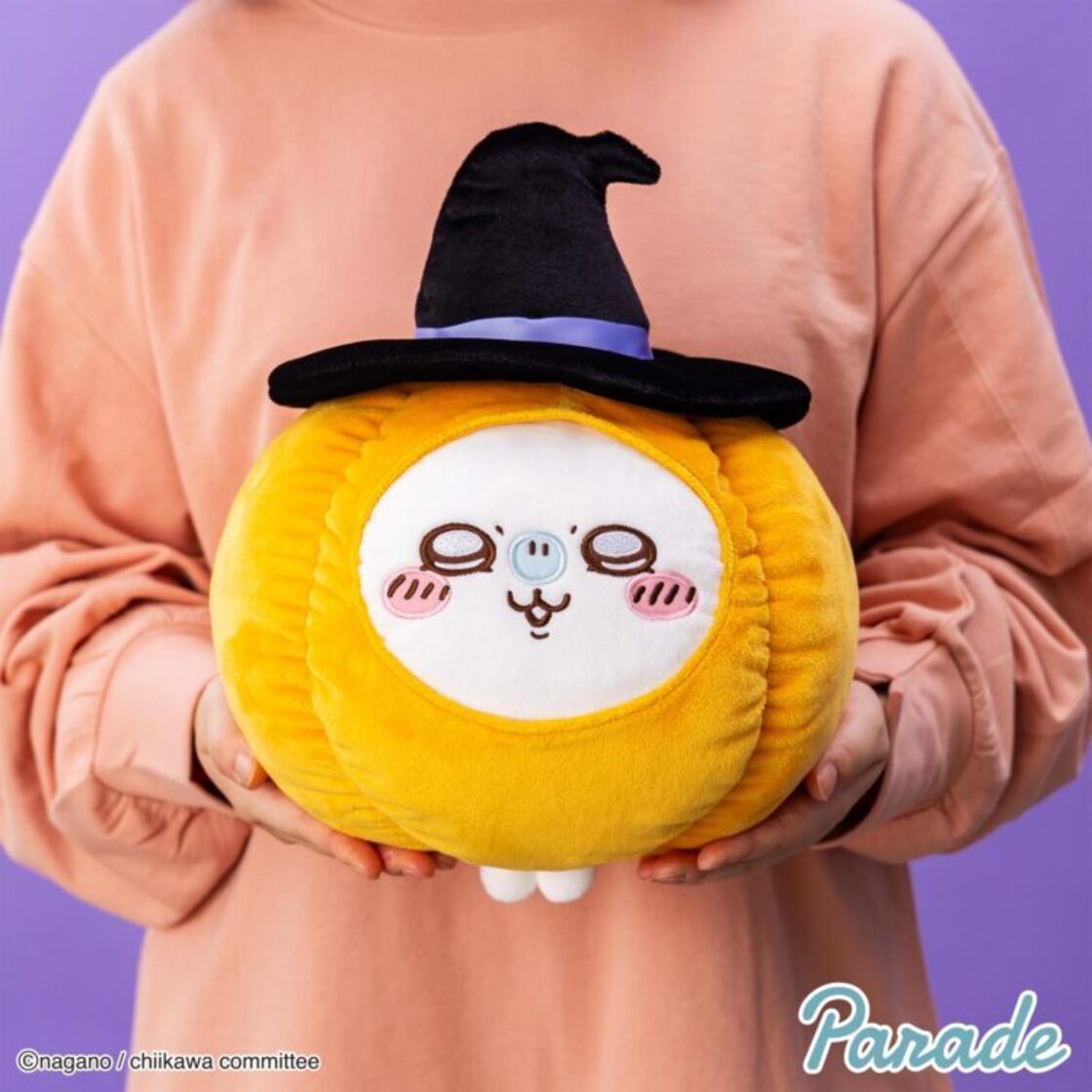 ちいかわ うさぎ・モモンガ カボチャBIGぬいぐるみ | Pay ID