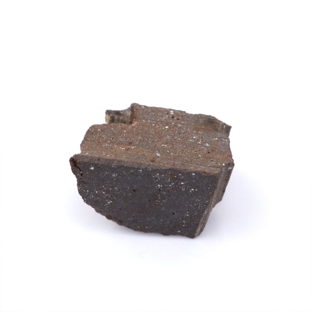 石質隕石 炭素質コンドライト | 隕石販売.jp 10%OFF