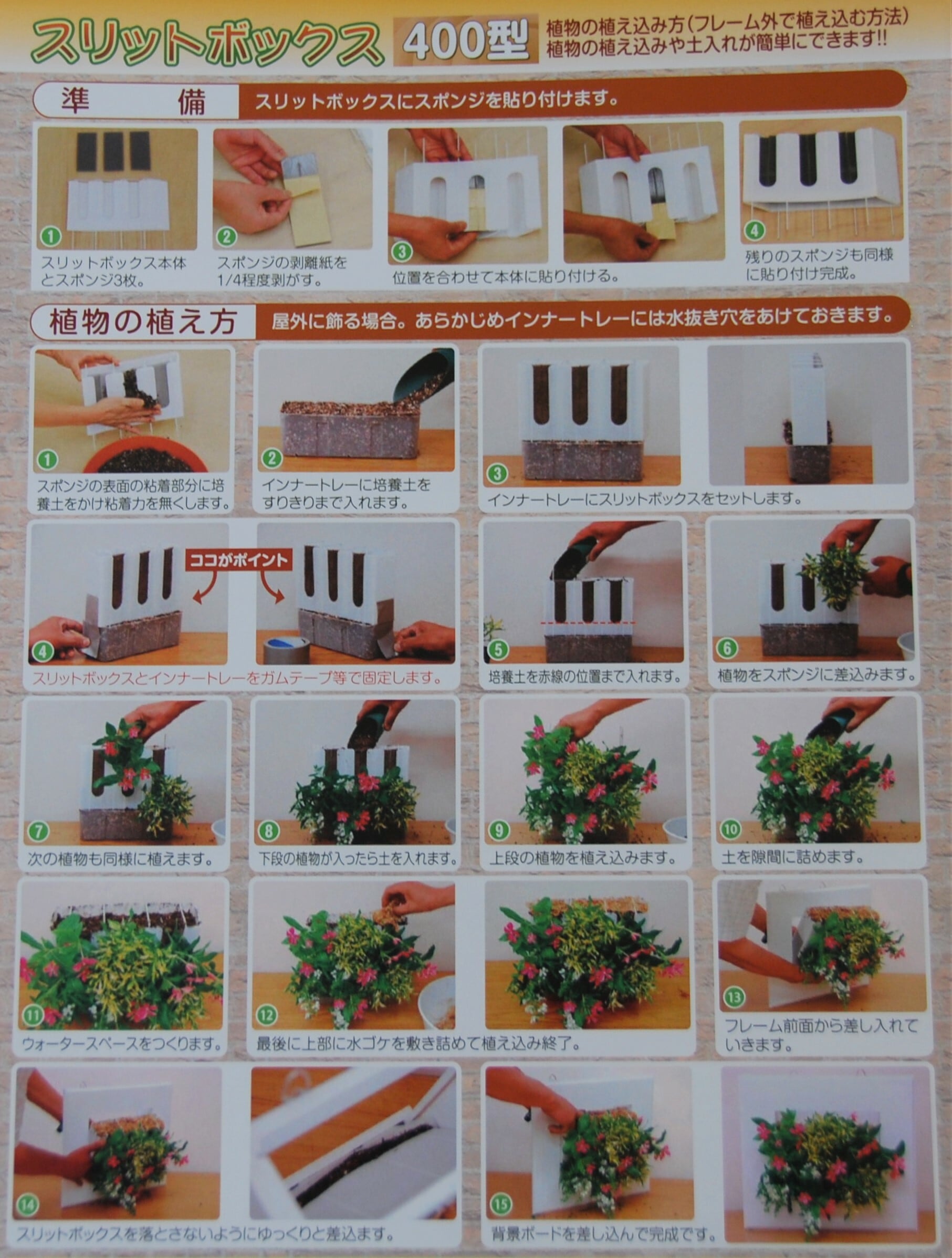 はなはなページ 2023.10.12 古都の葉オリジナル品種デビューです🌱 @ohana._.garden