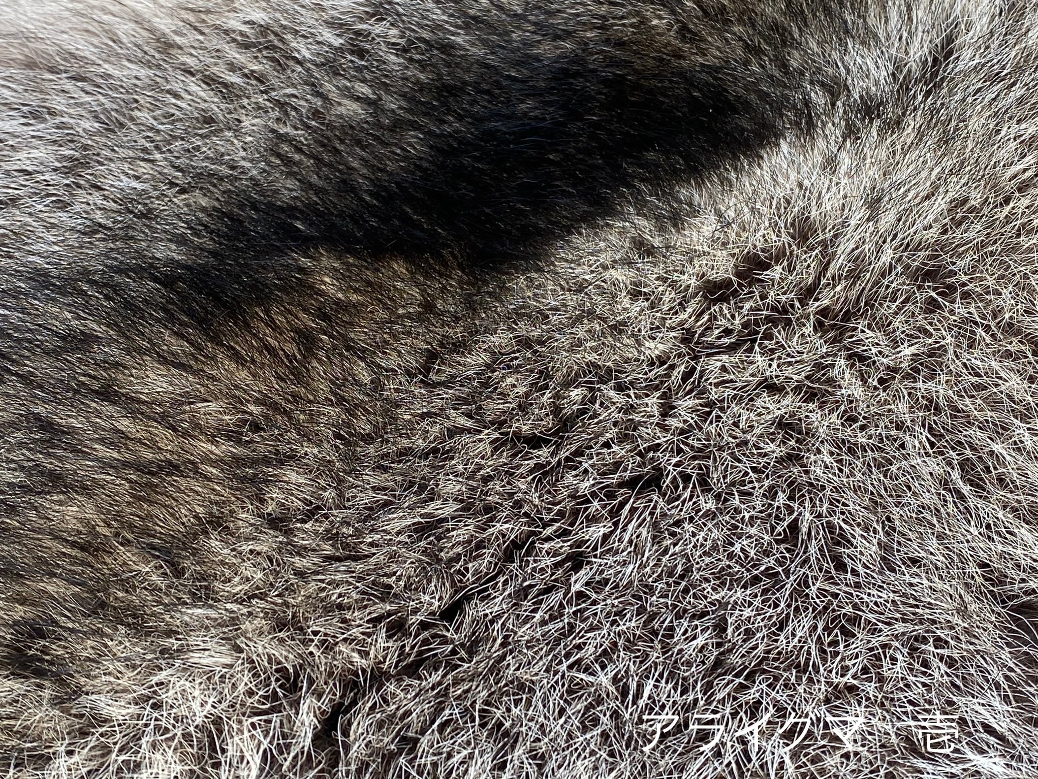 アライグマ毛皮 【製法】ピットタンニン鞣し | 【Bushcraft komorebi】