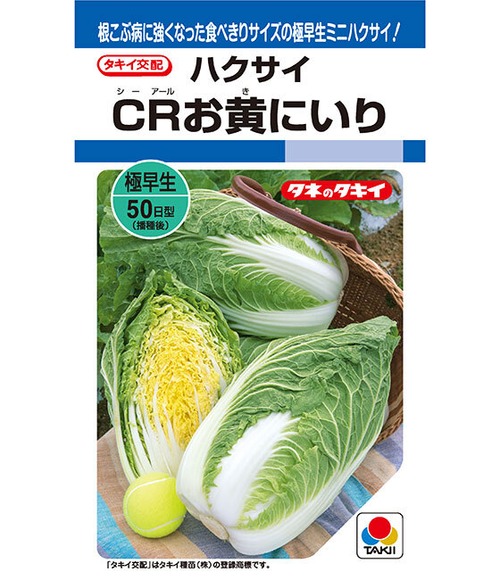 ハクサイ 「CRお黄にいり」（20ml） 画像