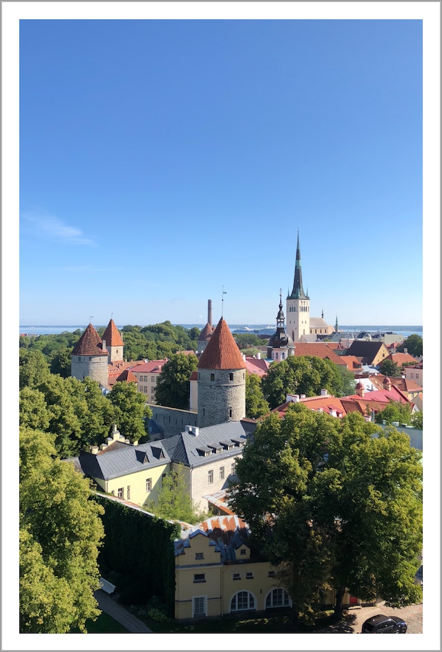 Tallinn（タリン）旧市街｜エストニアの風景ポストカード