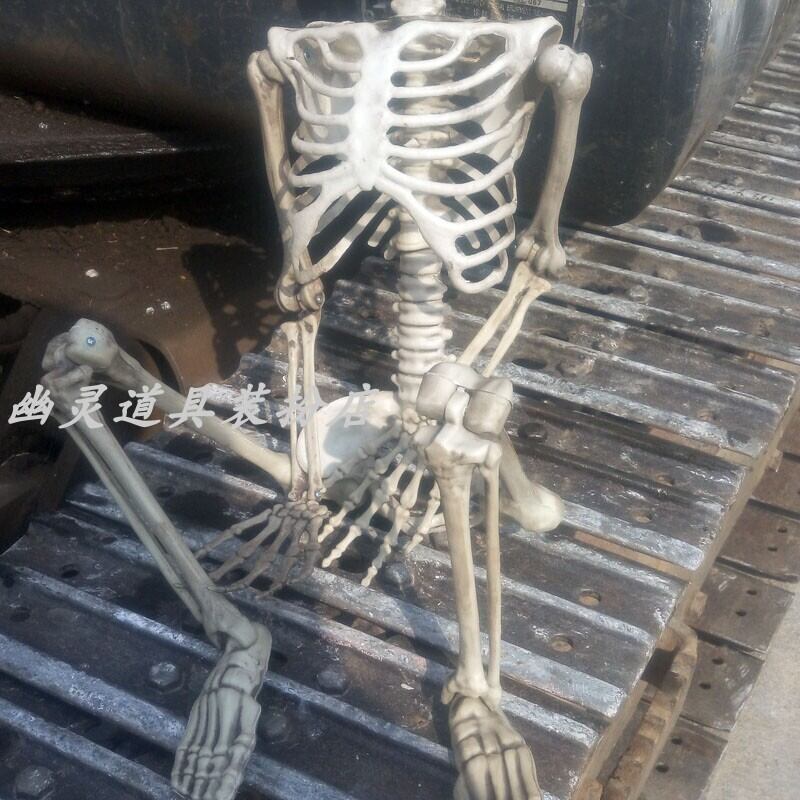 ✞ 新品 90cmスケルトン骸骨ガイコツ ✞ skull 骸骨 スカル ✞ 新品 90cmスケルトン骸骨ガイコツ ✞ skull 骸骨 スカル