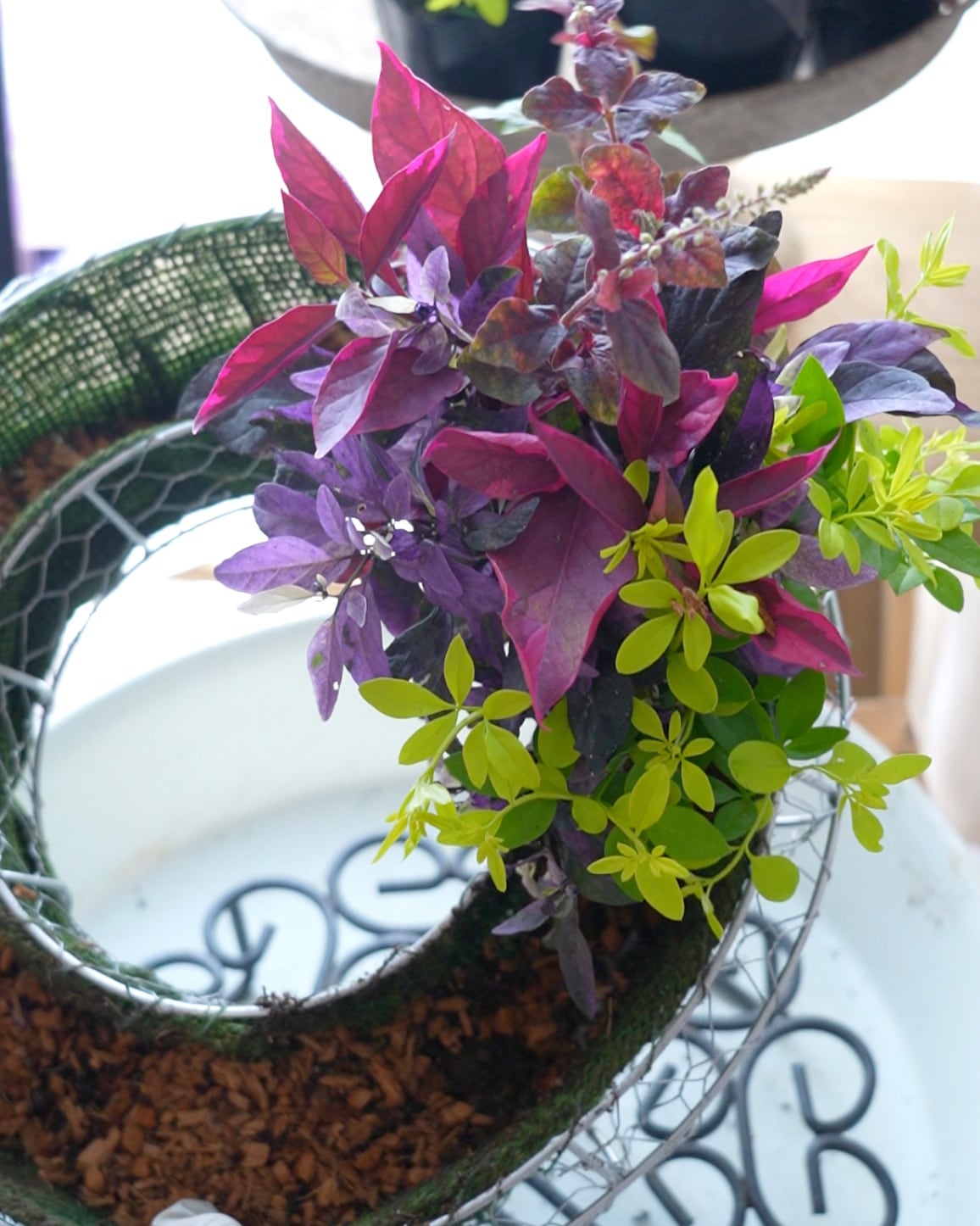 φ35cm＞ワイヤーリース ハンギング リース台 グリーン 【寄せ植え用