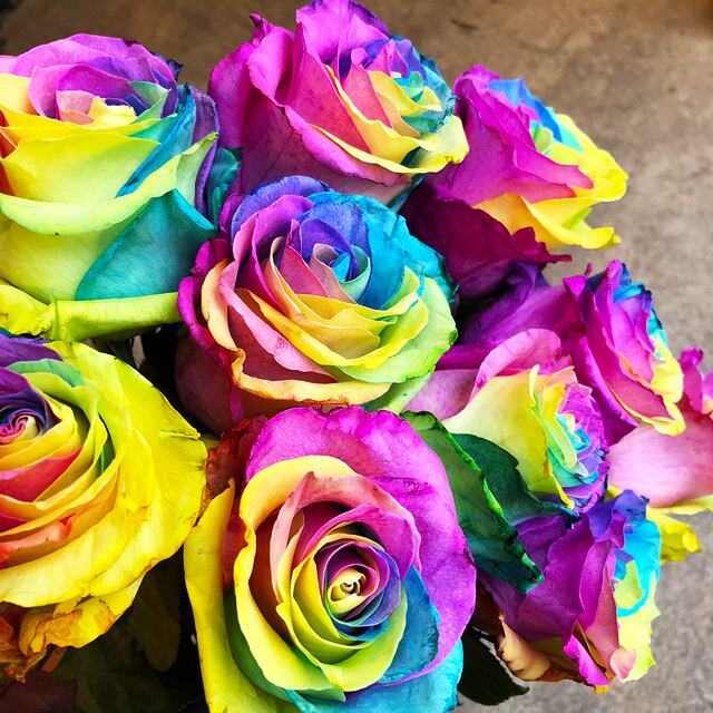 Bouquet Rainbow Rose Bouquet Gift Premium Noonflos Flower Shop Floral Design