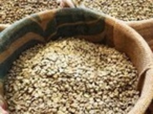 エルサルバドルSHG　ジュリア　Qグレード　200g（豆のまま）【焙煎後は170g程度になります。】