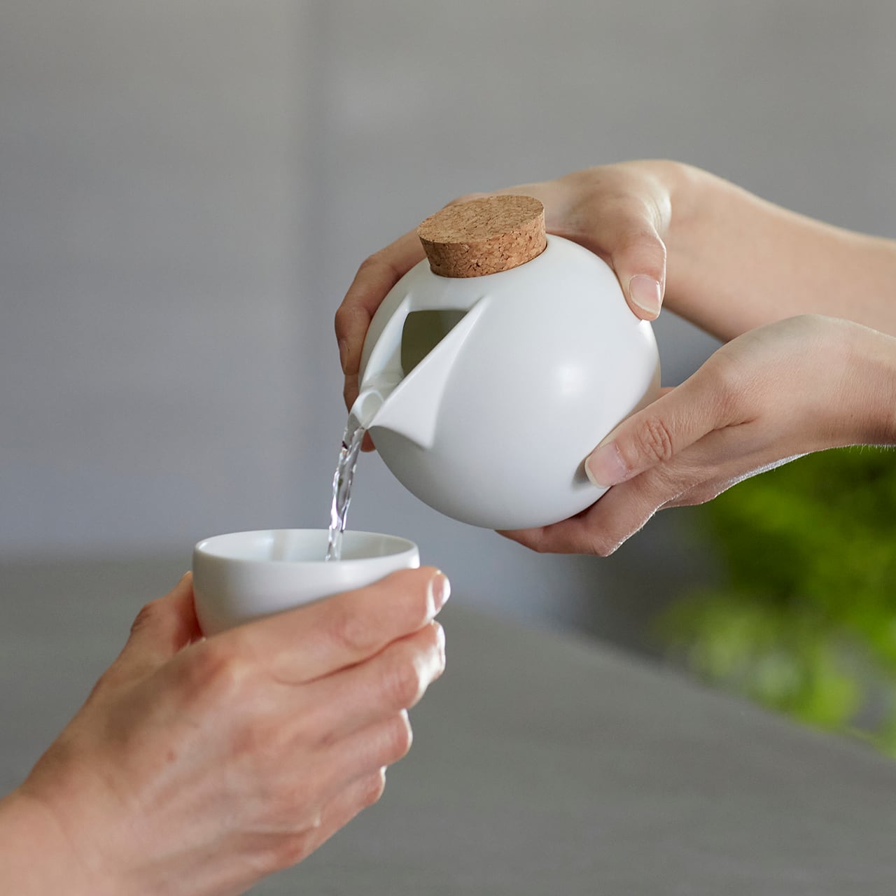BeakBowl （ビークボール）おちょこ | jozanshop