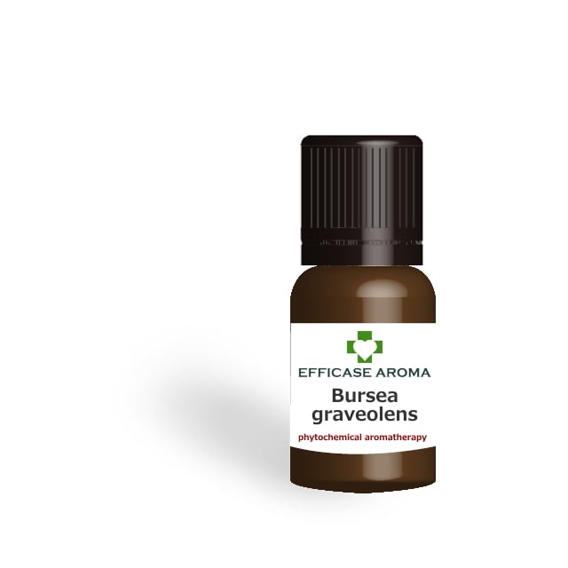 パロサント(Bursea graveolens)5ml ペルー・エクアドル産 アロマテラピー エッセンシャルオイル 精油 EFFICASE AROMA エフィカスアロマ
