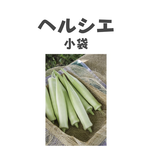 ヘルシエ　オクラ種子・小袋