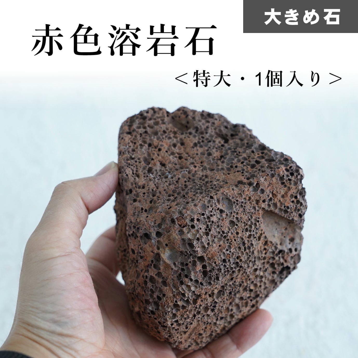 赤色溶岩石 特大 約15cm 1個入り【レイアウト用・着生用】 | 苔
