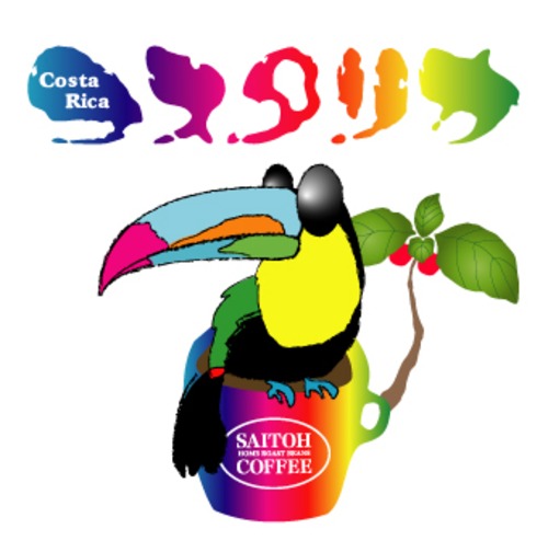 【300g】コスタリカ　ハニープロセス