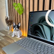 \ 公式ショップ限定価格❣️/ 準美品《人気シリーズ》Surface Laptop Go プラチナ Corei5 第10世代 メモリ4GB SSD ノートパソコン 安心サポート&3ヶ月保証付き