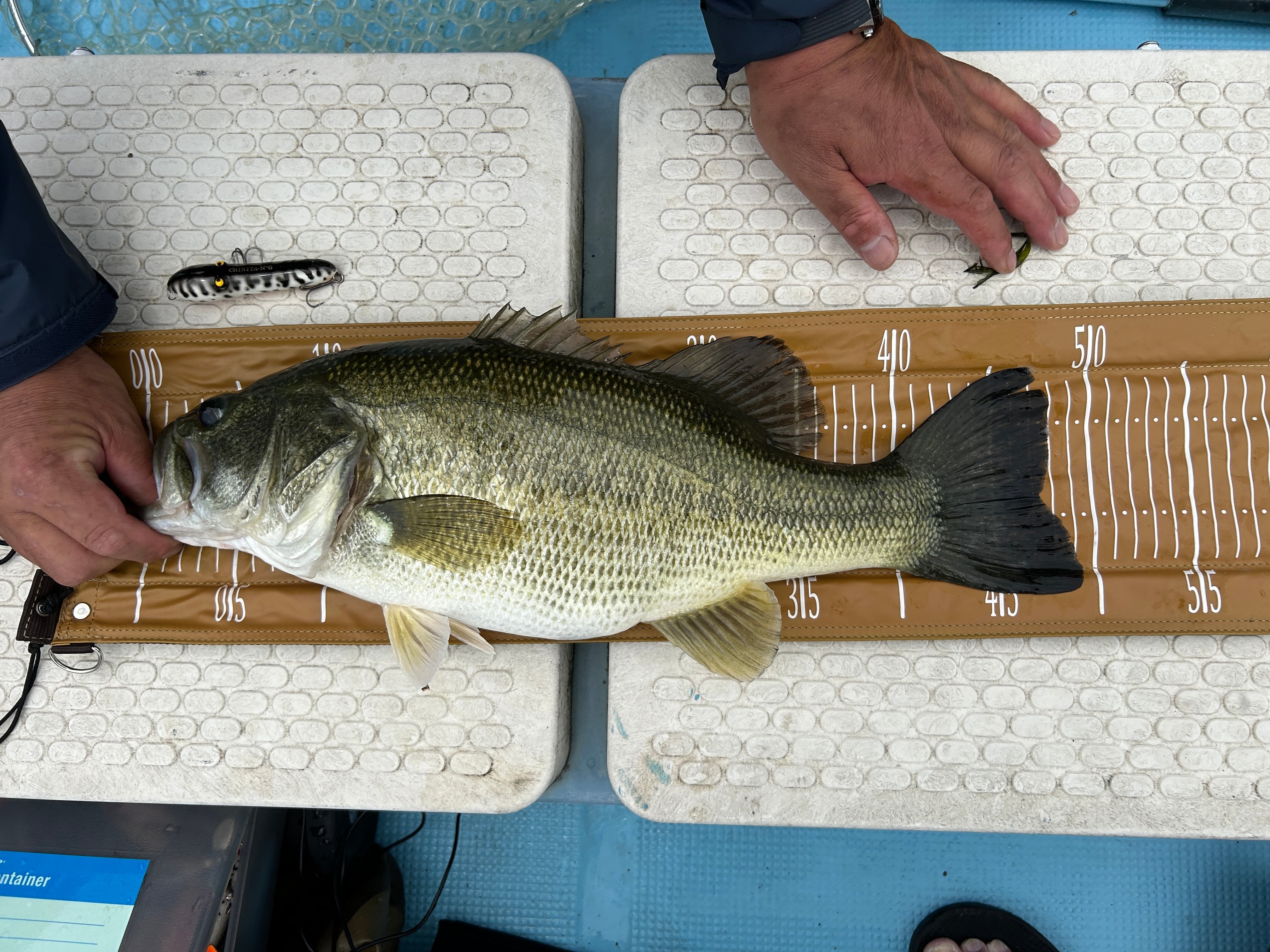 アカシブランド オンガクローラー パールホワイトグリッターラメ