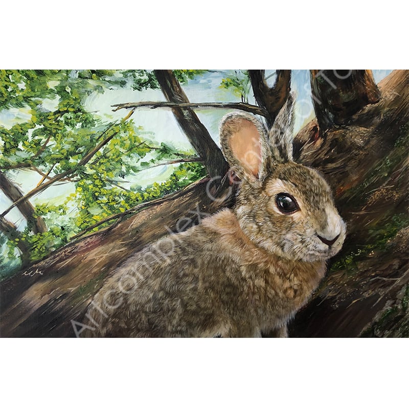 森 水翔「海と山の調べ」