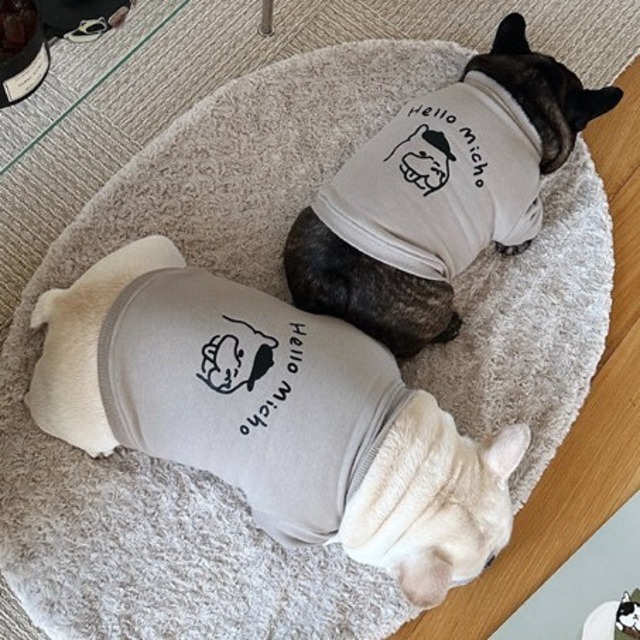 【HELLO MICHO】(犬用)　Matching Outfits – Hello micho –　　r-item-0589