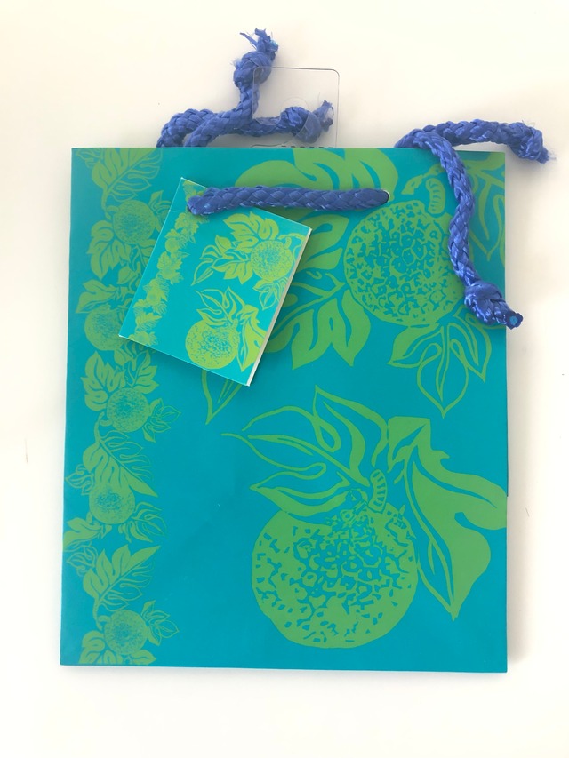 スモールペーパーバッグ Ulu Nui Turquoise （2個セット）