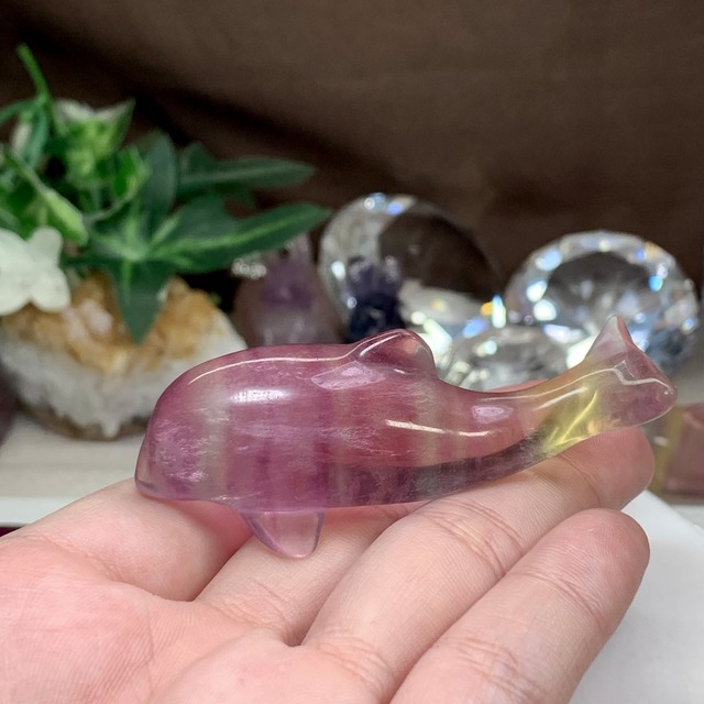 4.癒☆可愛いフローライトイルカさん