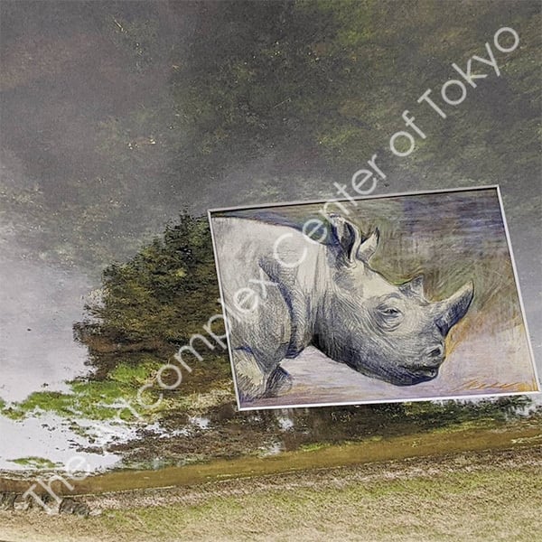 Mizuha Mori × NaNaHa 合作