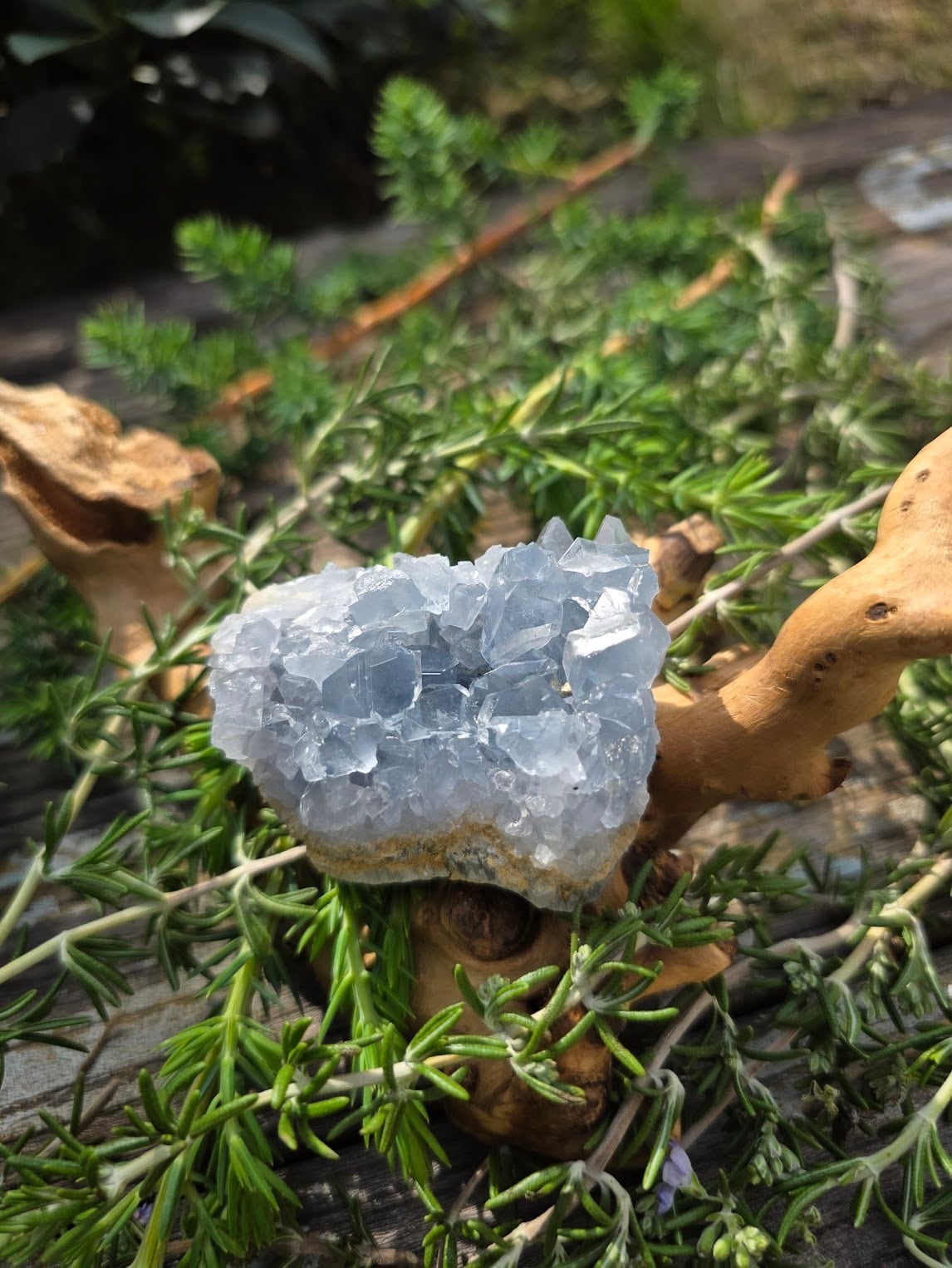 スモーキージャカレークォーツ｜邪気を祓い安定へ導く希少エレスチャル