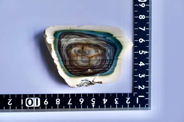 ロイヤルインペリアルジャスパー　Royal Imperial Jasper 19