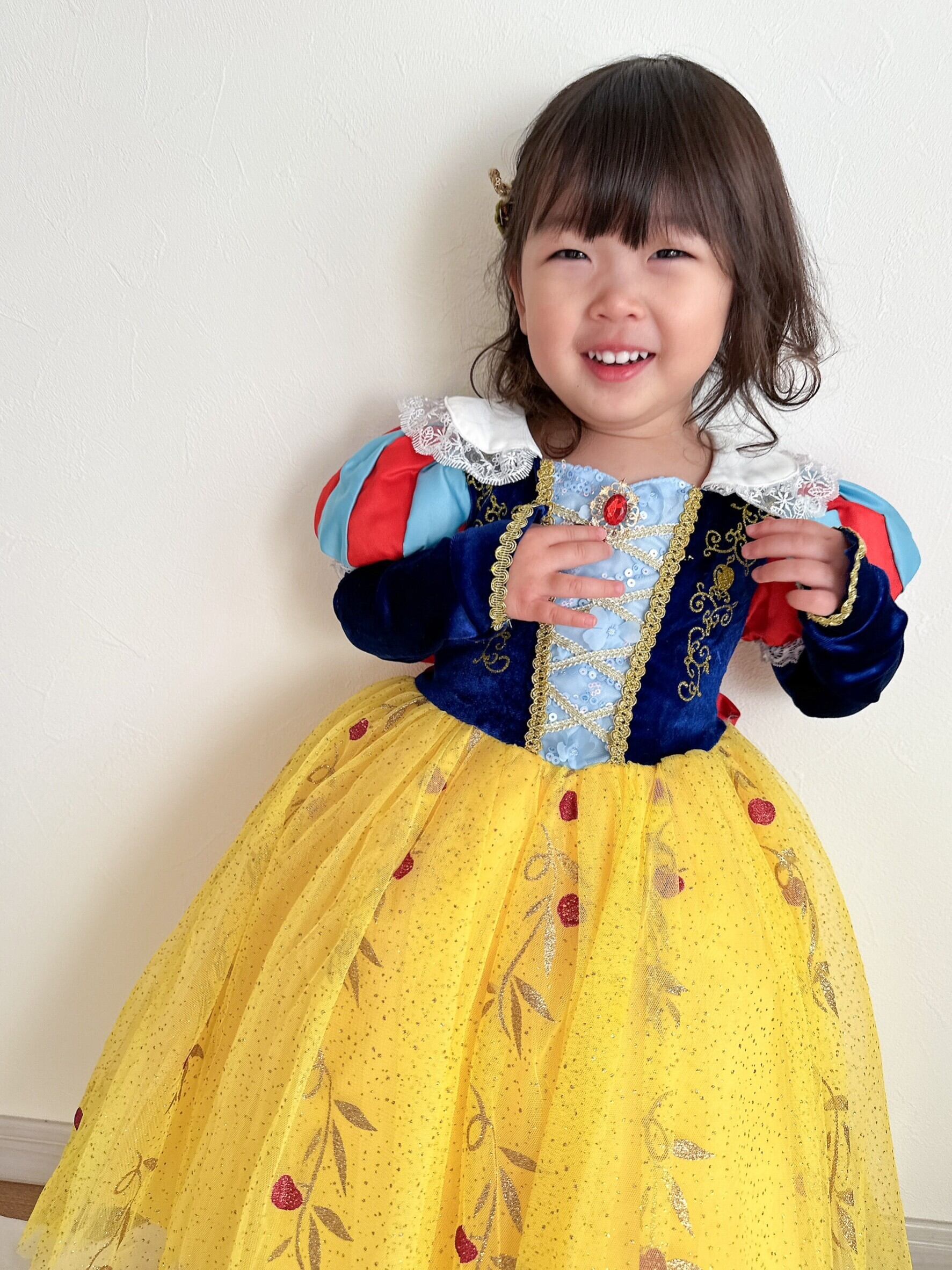 即納】パニエ 22/35/45 プリンセスドレス【プリンセスドレス 姫