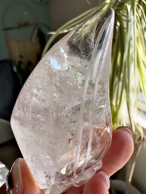 ブラジル産レムリアンシードトラベラースカル