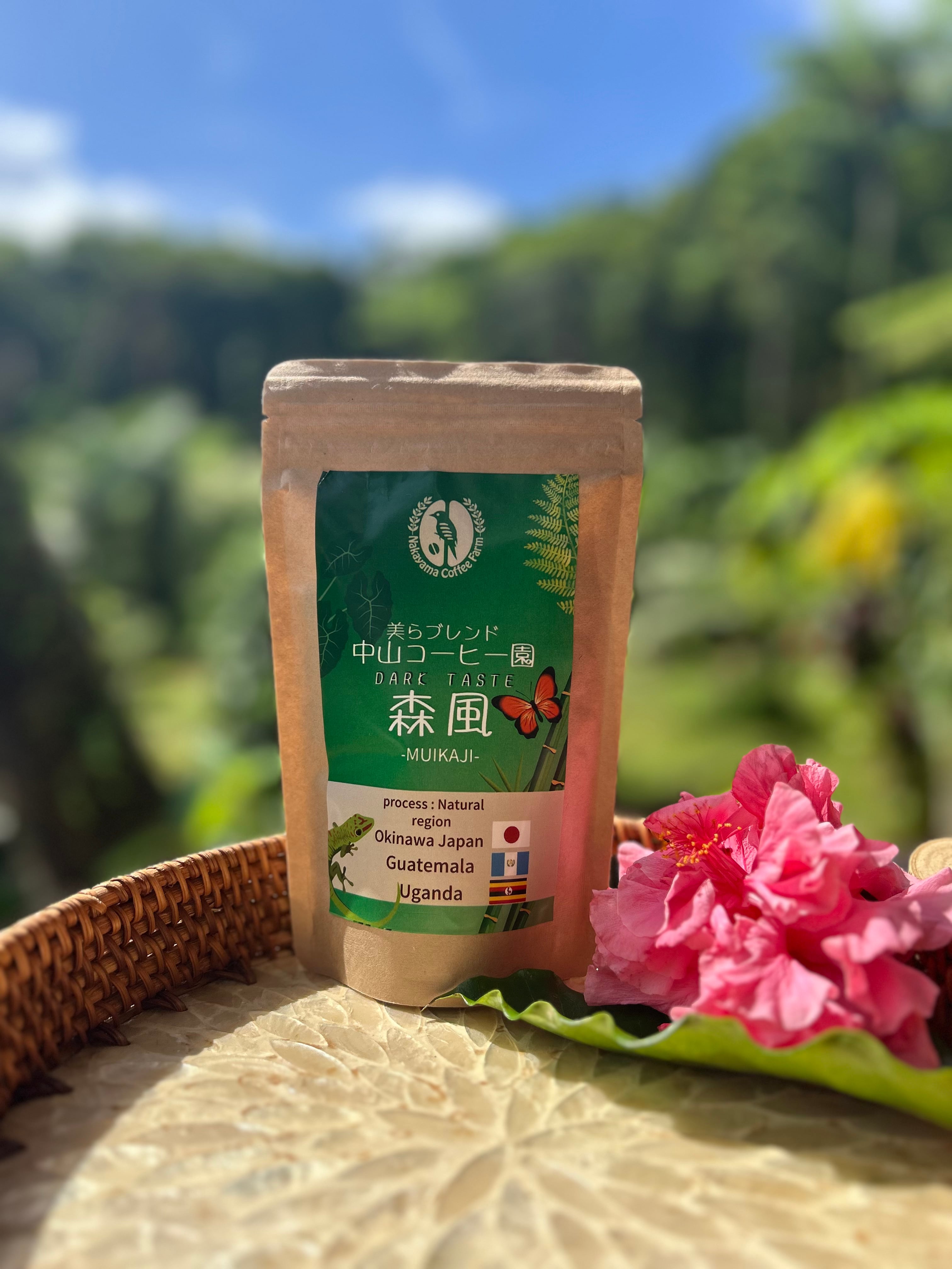 中山コーヒー園ブレンドコーヒー豆【森風】100g | 中山コーヒー園 with