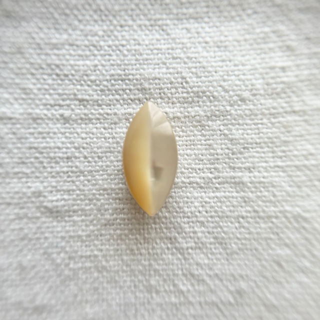 高瀬貝シャープオーバル 15mm