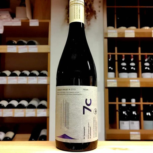 MUSCAT BAILEY A 2025 / ｾﾌﾞﾝｼﾀﾞｰｽﾞﾜｲﾅﾘｰ （赤ワイン）