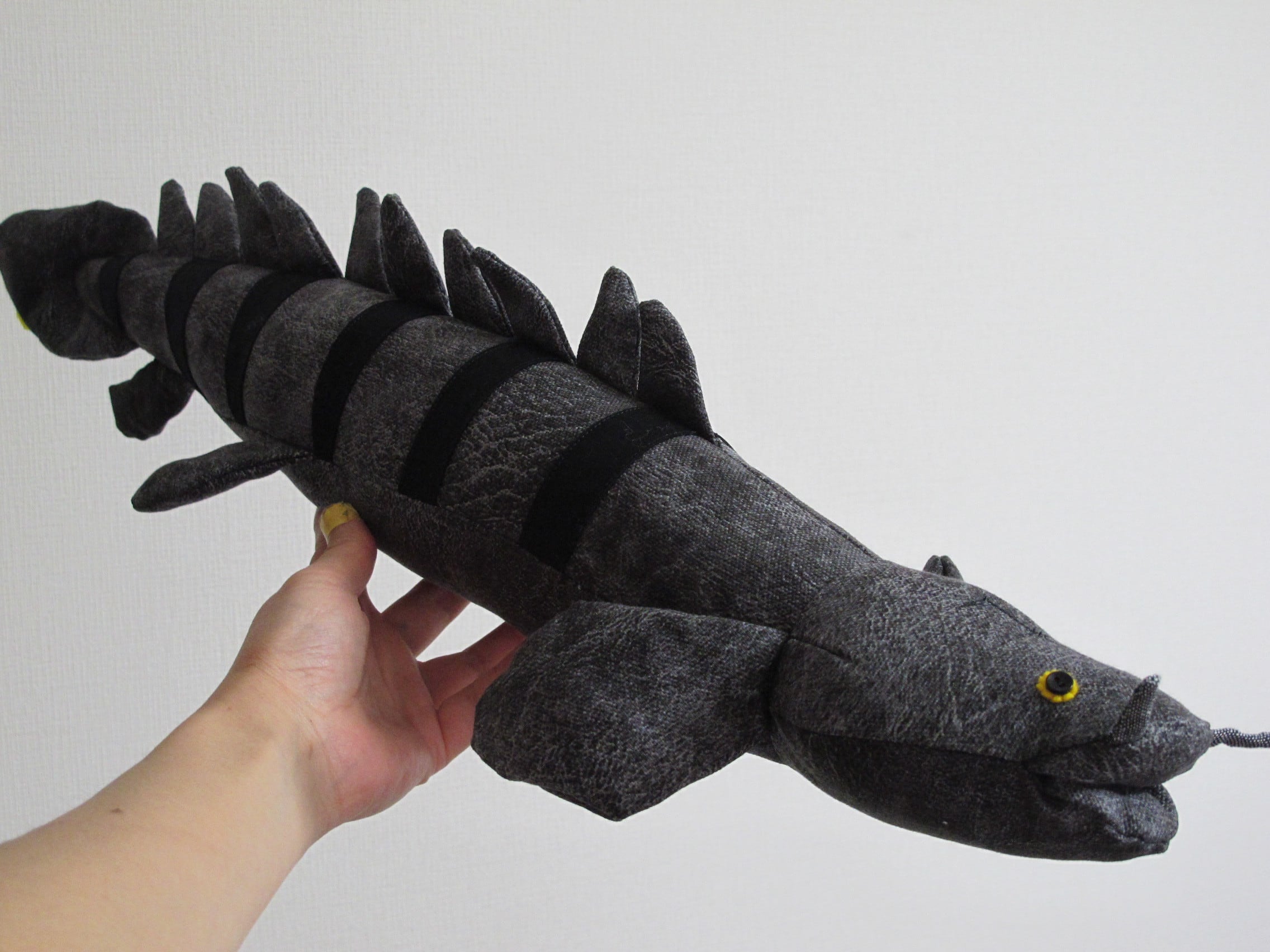 ポリプテルスデルヘッジ Polypterus,Barred bichir | ぬいぐるみ工房