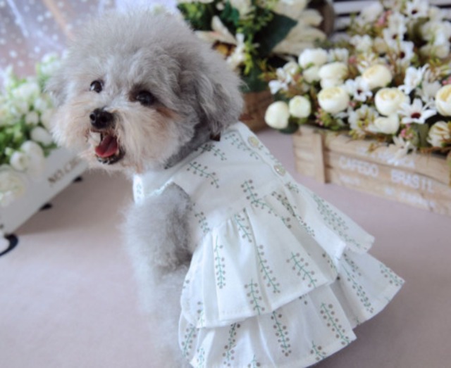 ドッグウェア　ビジューボタン付　サマードレス　ブラウン 犬服