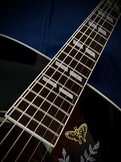 Rider J-300HB by HAYASHI Hummingbird Ebony 1977 商品画像 18