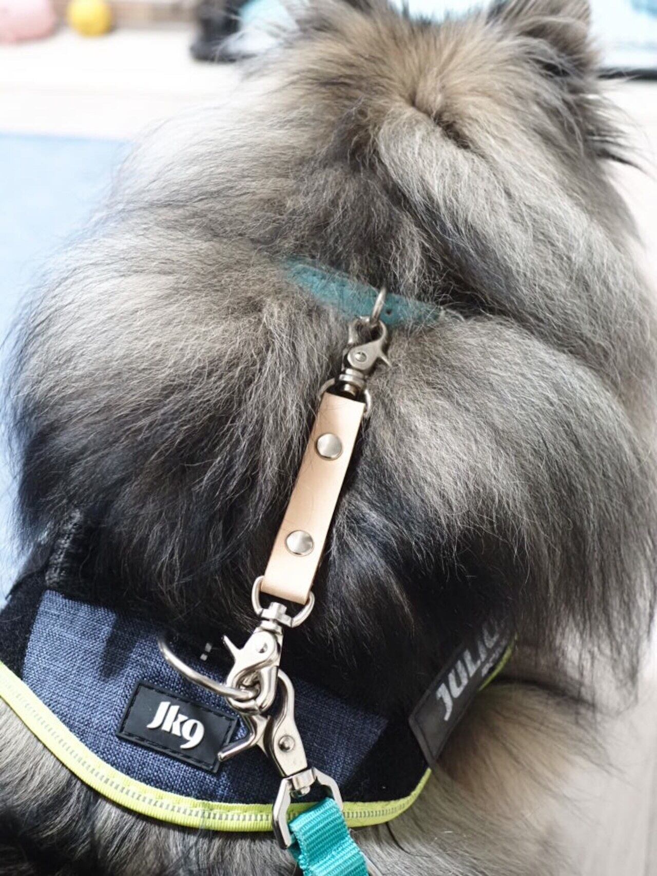 すっぽ抜け防止 ジョイント 首輪とハーネスをつなぐ安全装置 ヌメ革 犬