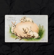 アンティークポストカード　【sa822】