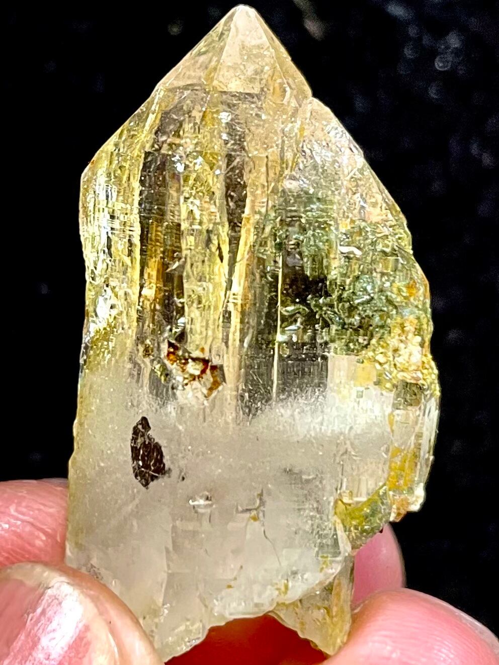 21) New!パキスタン・ヒマラヤ「スカルドゥ」ゴールデンヒーラー